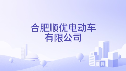 合肥顺优电动车有限公司