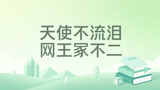 天使不流泪网王冢不二