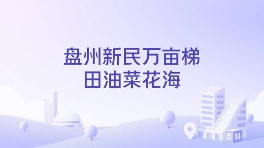 盘州新民万亩梯田油菜花海