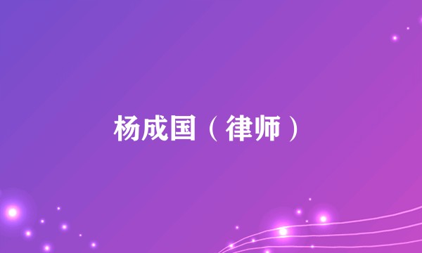 杨成国（律师）