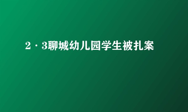 2·3聊城幼儿园学生被扎案