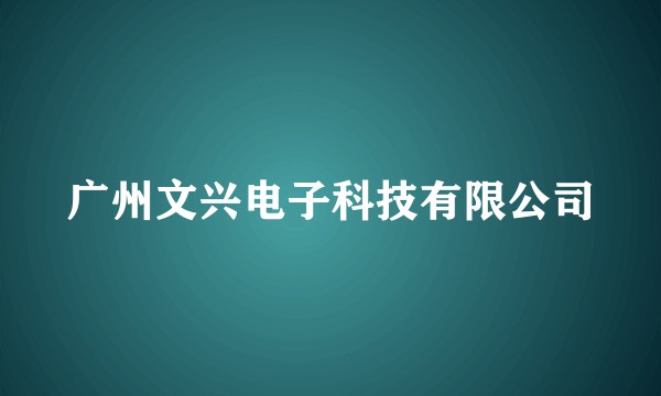 广州文兴电子科技有限公司