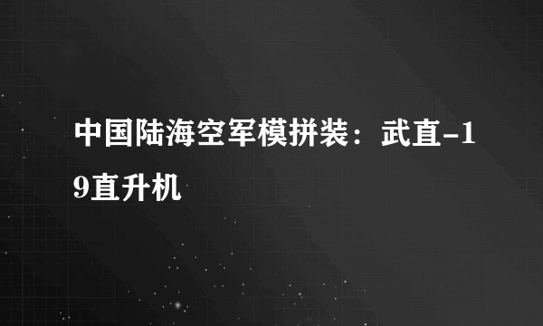中国陆海空军模拼装:武直-19直升机