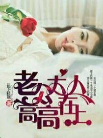 应孕而婚：老公大人高高在上