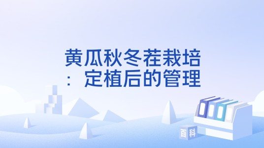 黄瓜秋冬茬栽培：定植后的管理