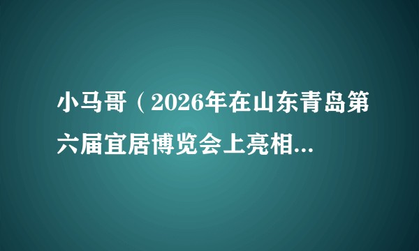 小马哥（2026年在山东青岛第六届宜居博览会上亮相的吉祥物）
