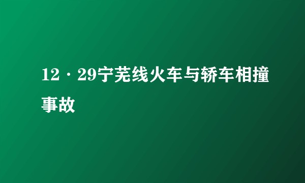 12·29宁芜线火车与轿车相撞事故