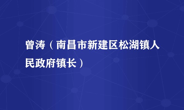 曾涛（南昌市新建区松湖镇人民政府镇长）