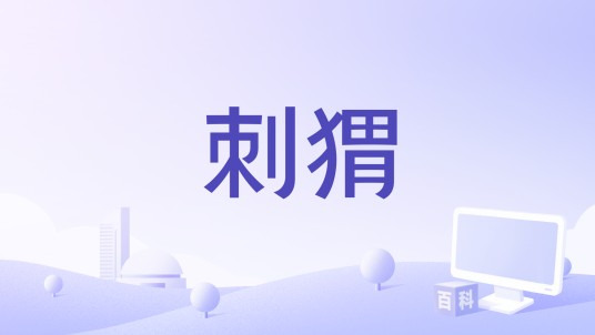 刺猬（俞灏明演唱的歌曲）