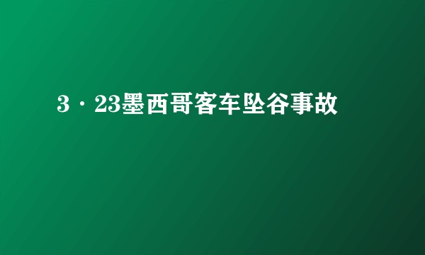 3·23墨西哥客车坠谷事故