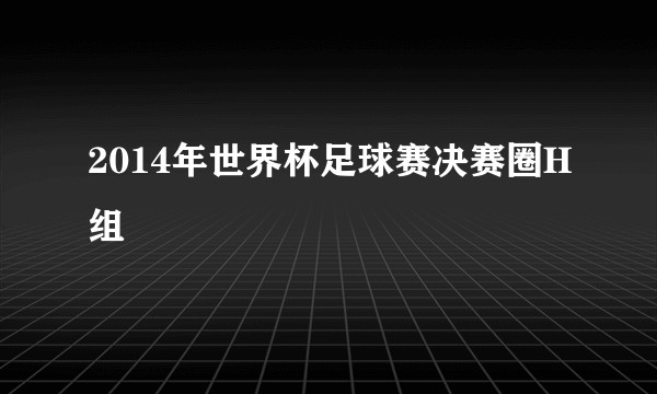2014年世界杯足球赛决赛圈H组