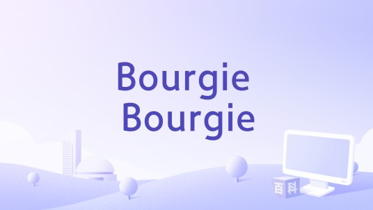 Bourgie Bourgie