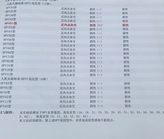 hpv51高危阳性