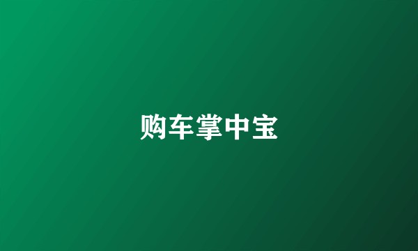 购车掌中宝