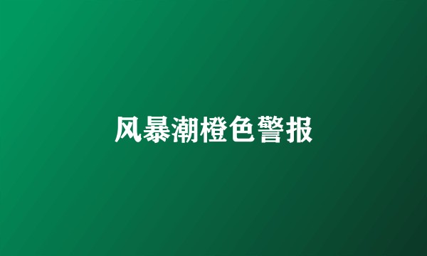风暴潮橙色警报
