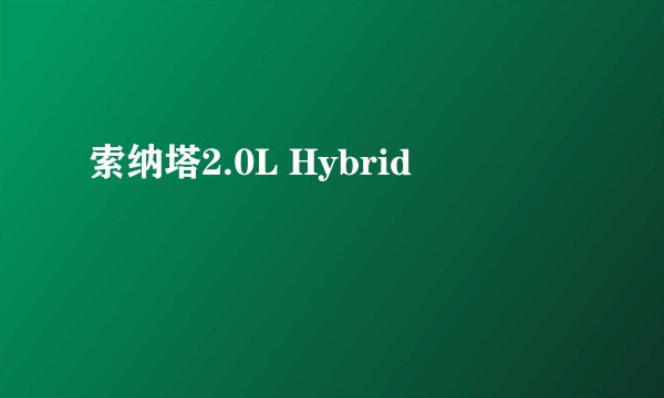 索纳塔2.0L Hybrid