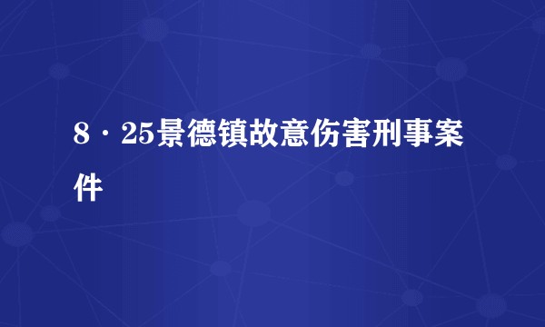 8·25景德镇故意伤害刑事案件