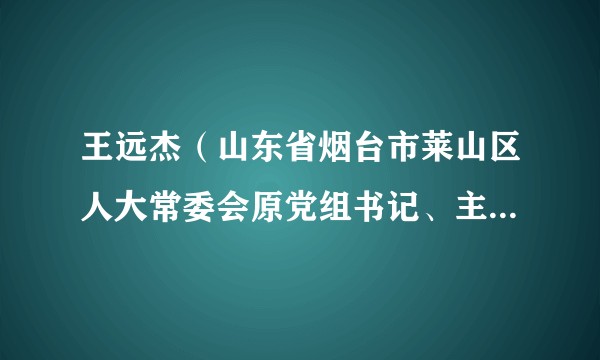 王远杰（山东省烟台市莱山区人大常委会原党组书记、主任、二级巡视员）