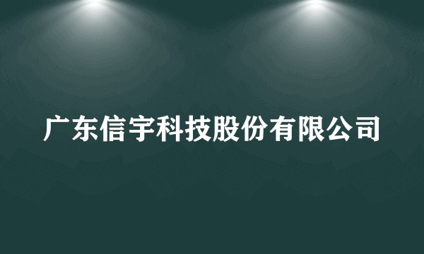 广东信宇科技股份有限公司