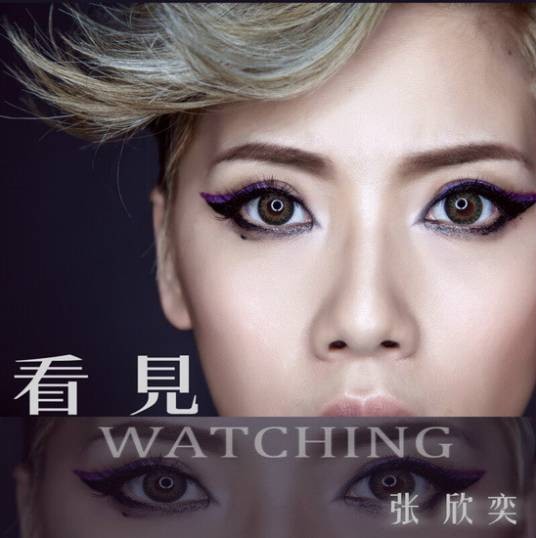 看见（张欣奕于2014年发行的首张个人音乐EP）