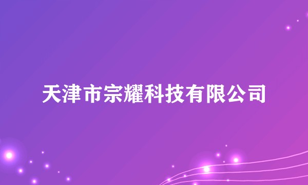 天津市宗耀科技有限公司