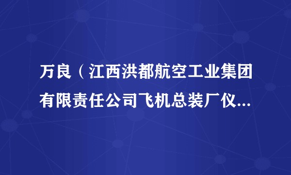 万良(江西洪都航空工业集团有限责任公司飞机总装厂仪表安试工,高级技师)