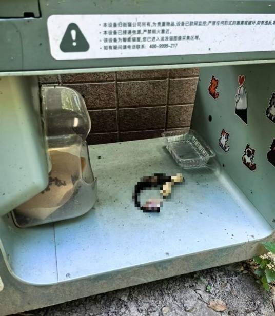 8·9上海小区猫屋猫尸残骸事件
