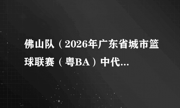 佛山队（2026年广东省城市篮球联赛（粤BA）中代表佛山市的篮球队）