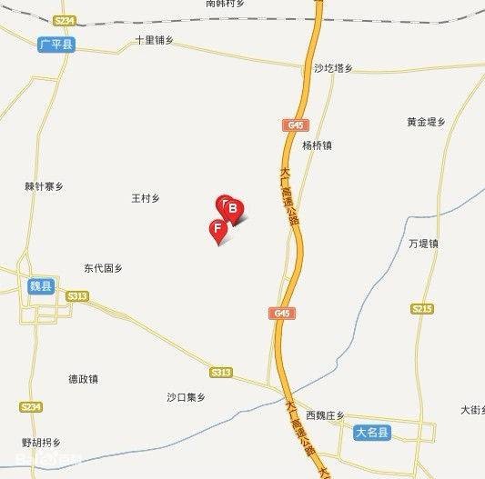 西店村（河北省邯郸市大名县王村乡下辖村）