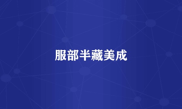 服部半藏美成