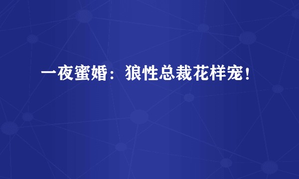 一夜蜜婚：狼性总裁花样宠！