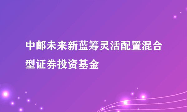 中邮未来新蓝筹灵活配置混合型证券投资基金