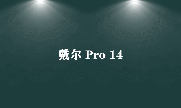 戴尔 Pro 14