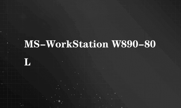 MS-WorkStation W890-80L