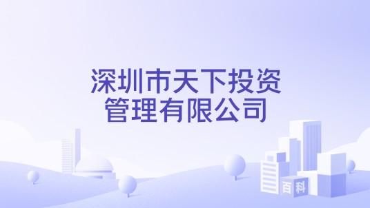 深圳市天下投资管理有限公司