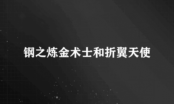 钢之炼金术士和折翼天使