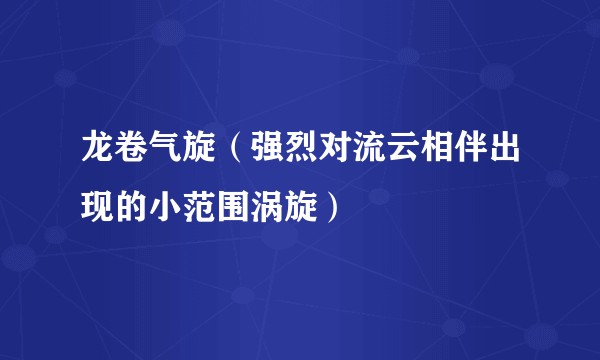 龙卷气旋（强烈对流云相伴出现的小范围涡旋）