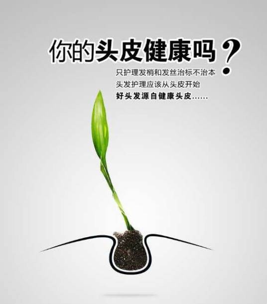 世界头皮健康日