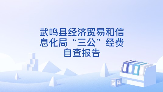 武鸣县经济贸易和信息化局“三公”经费自查报告