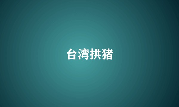 台湾拱猪