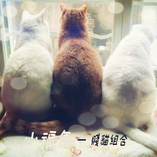 小福气