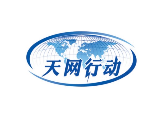 天网2024