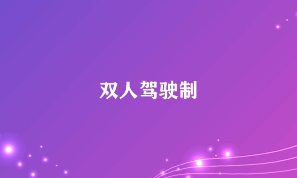 双人驾驶制