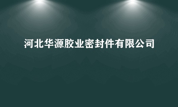河北华源胶业密封件有限公司