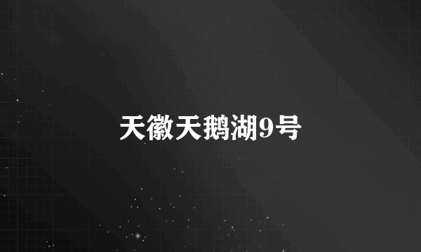 天徽天鹅湖9号