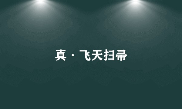 真·飞天扫帚