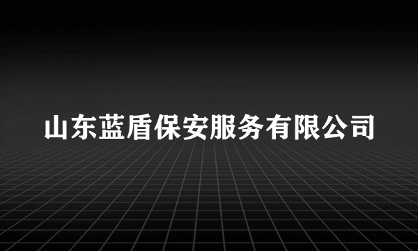山东蓝盾保安服务有限公司