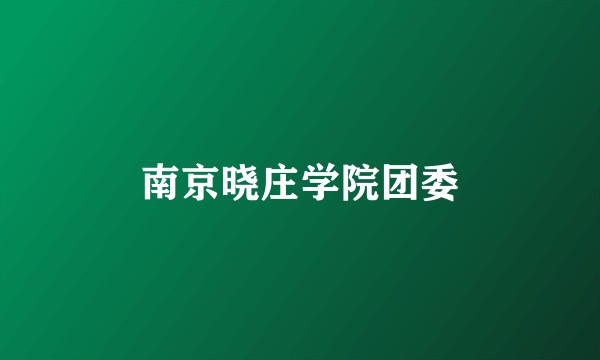 南京晓庄学院团委