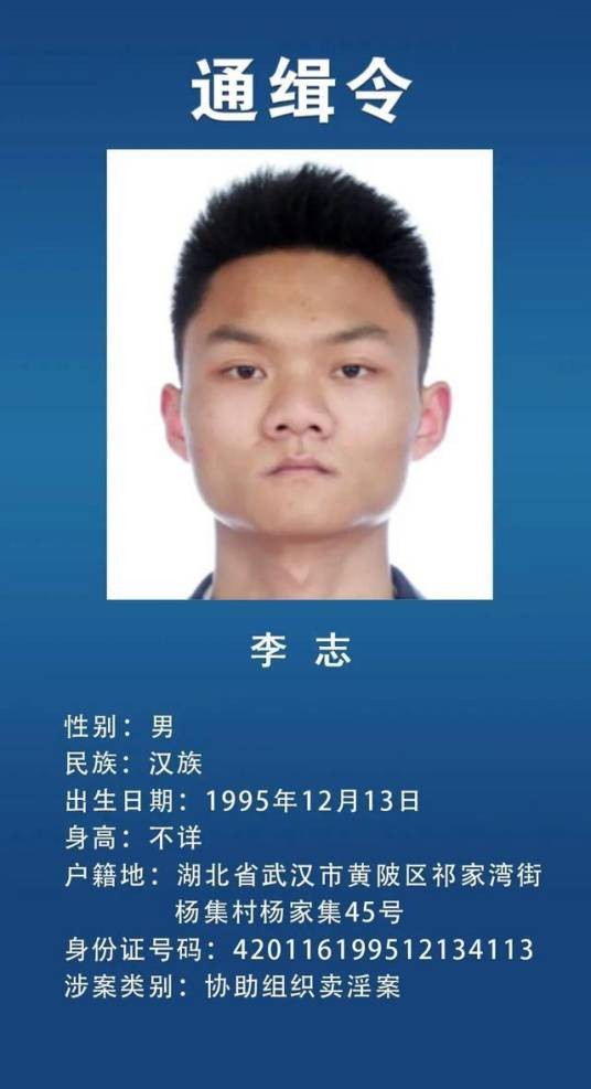李志（湖北省公安厅公开通缉的在逃人员）