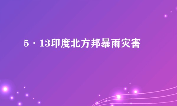 5·13印度北方邦暴雨灾害